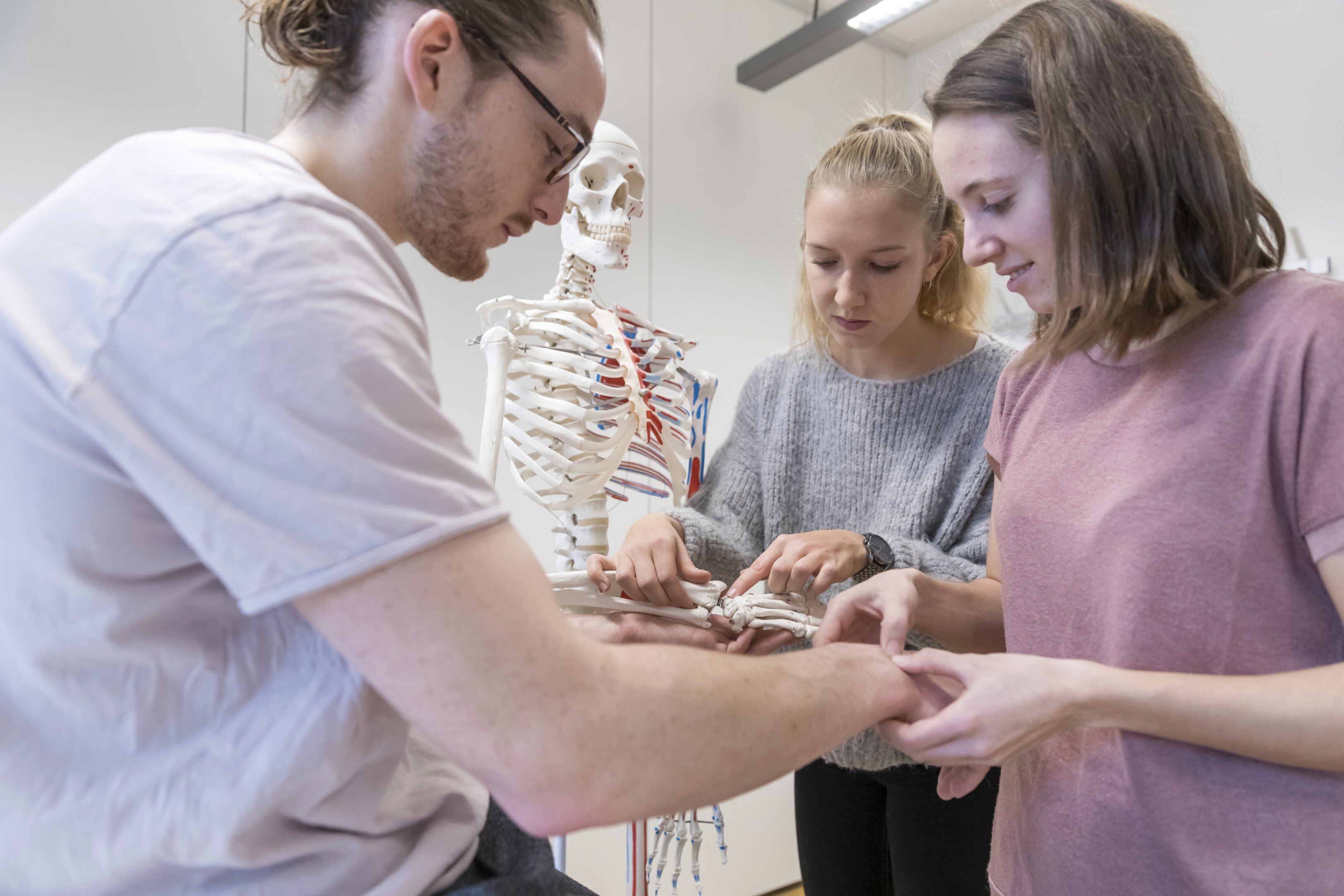 Skelett mit Studierenden